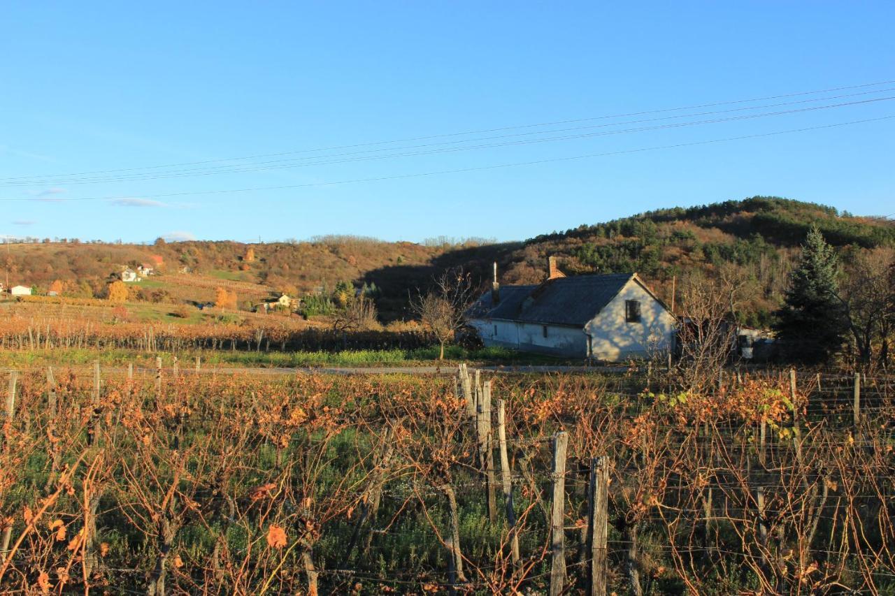 A Kert Apartman Rezi Extérieur photo